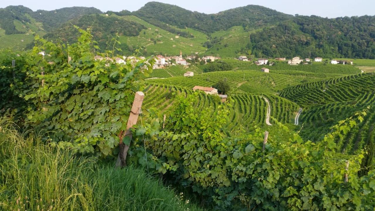 Nel Cuore Del Prosecco Superiore Docg Apartamento Valdobbiadene Exterior foto